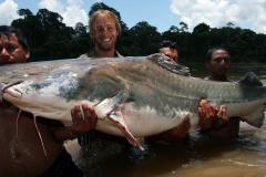 Giant Mekong catfish